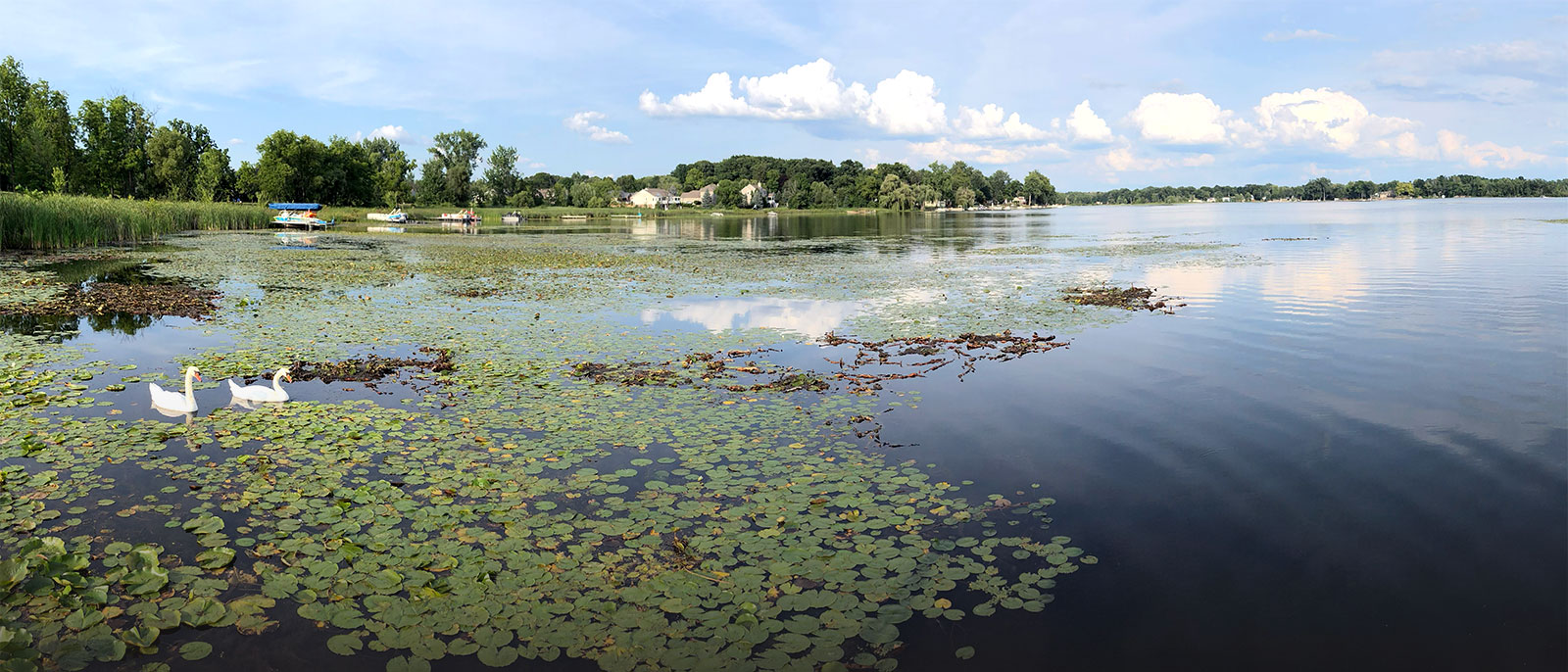 2019 Lake Study Results